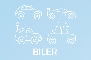 Biler